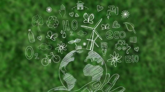 State of the Green Economy with Forestry