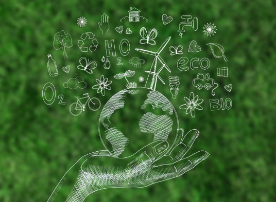 State of the Green Economy with Forestry