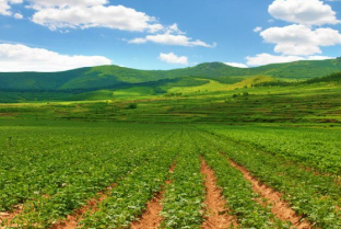 Subsistence Farmland